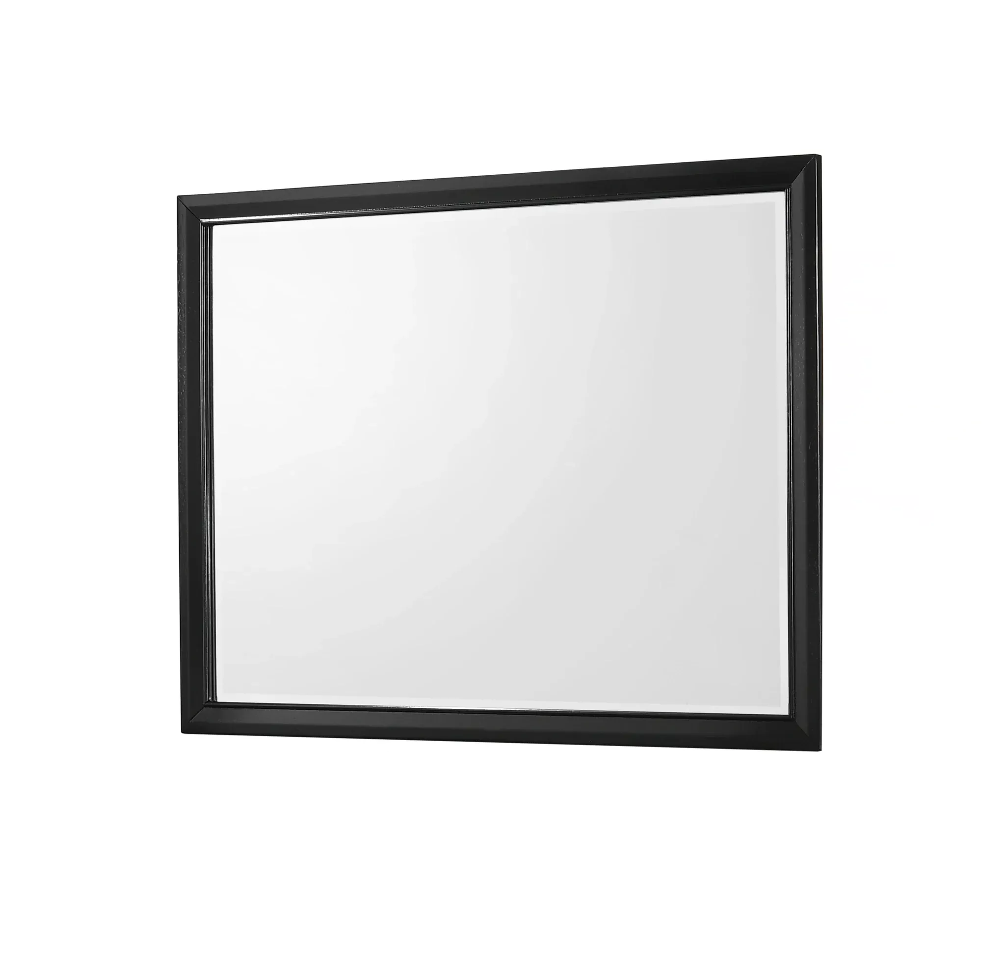 Crown Mark Micah Mirror In Black