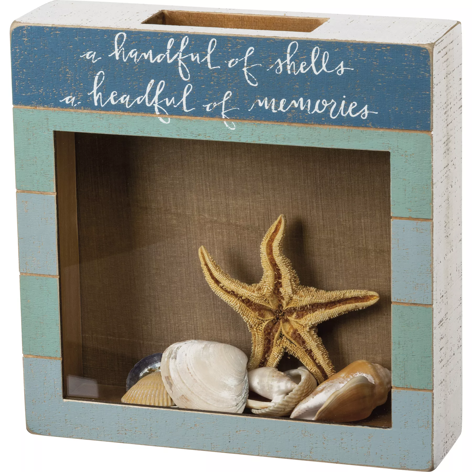 A Handful Of Shells Shell Holder