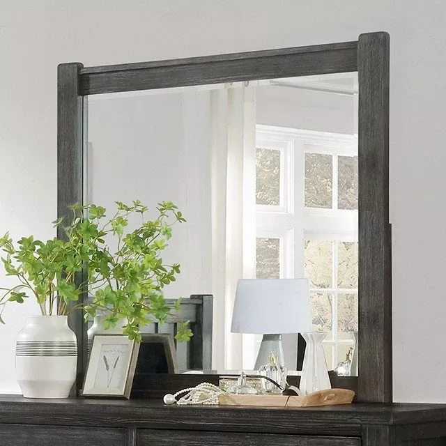 Regensburg Mirror