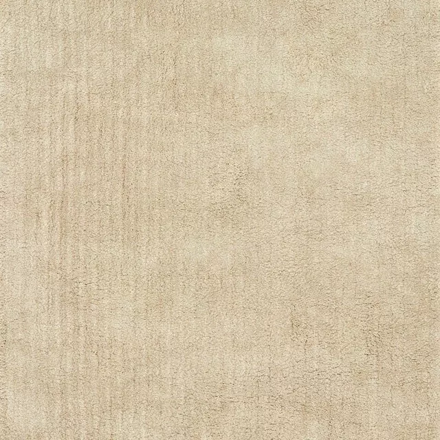 Zala Shag Medium Rug
